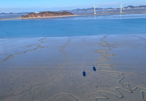 제부도 물때시간표