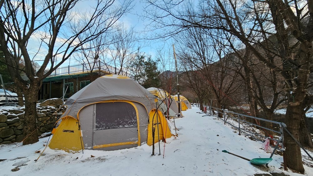 6시 내고향 무주 카페 캠핑 체험 무주눈꽃덕유캠프