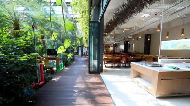 미리내 힐빙 클럽