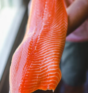 지방간에 좋은 음식 10 영양제 식단