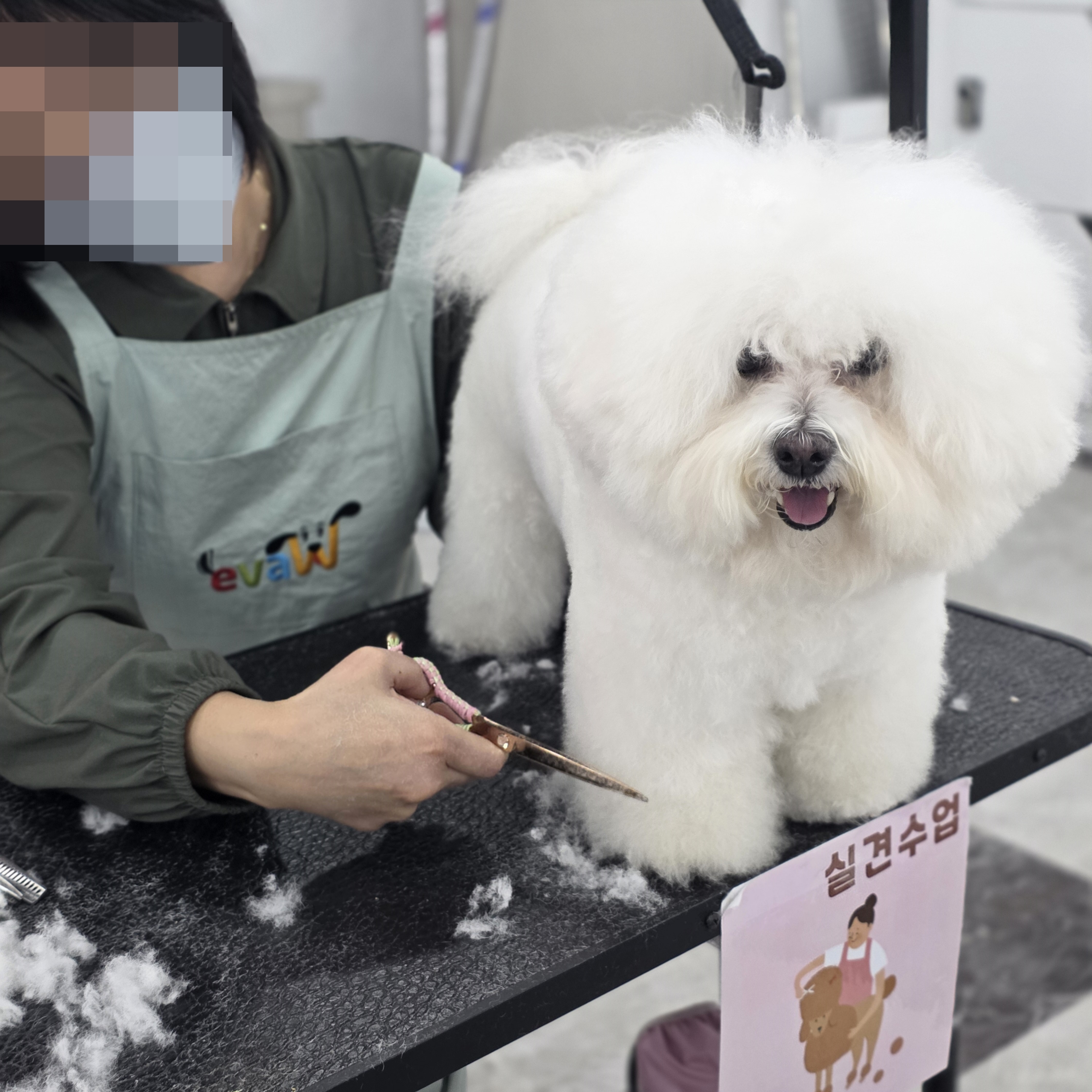 수유애견미용학원