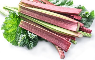 루바브 효능, 갱년기를 책임지는 필수 식품으로 알려져 있습니다.