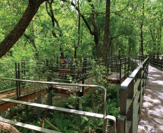 광릉숲길 주요 코스