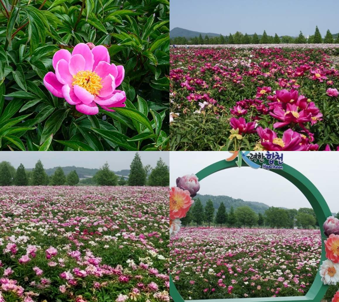 합천 핫들생태공원