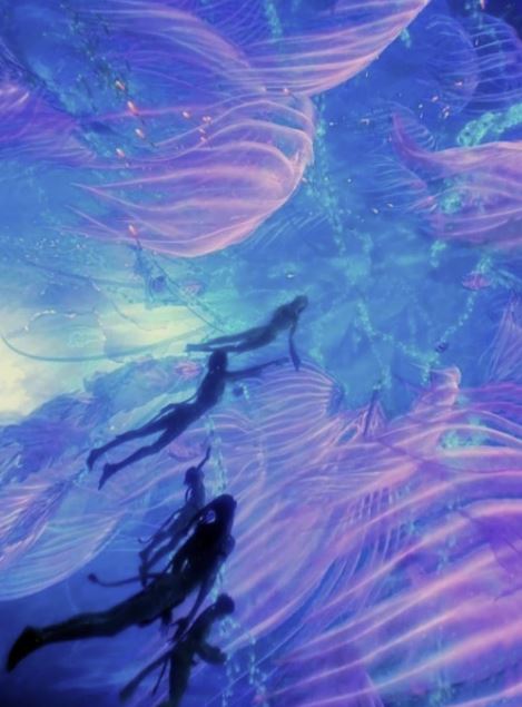 영화 추천-영화 아바타-아바타 명장면-사진