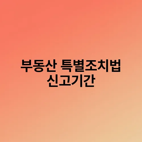 부동산 특별조치법 신고기간