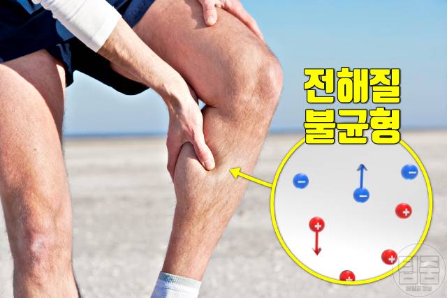 더위 먹은 증상 다리 쥐 더위 먹었을때 대처 회복기간