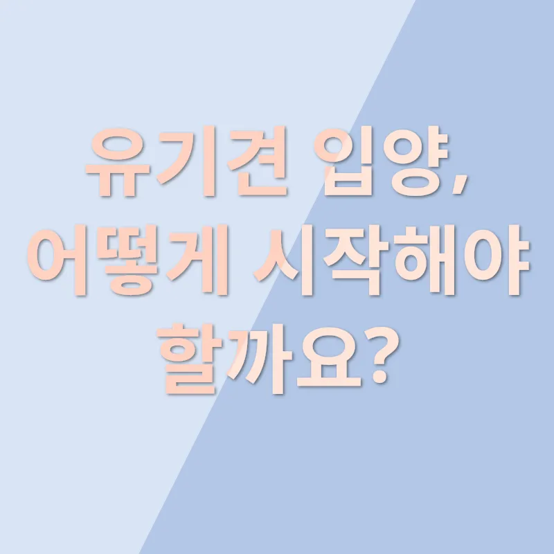 유기견 입양_2
