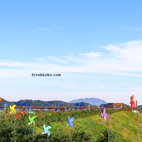 3월에 가볼만한 국내 여행지 베스트10