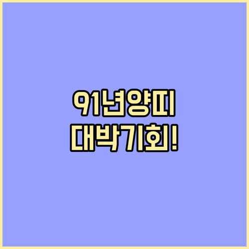 1991년생 양띠 병오년 신년운세 총..