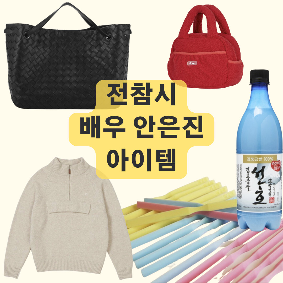 안은진 막걸리 가방 파우치 니트 반집업 발음교정기 전참시 아이템 정보