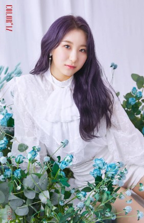 이채연