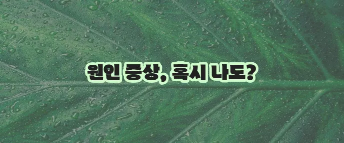 히스타민 증후군 원인과 증상 꼼꼼히 알아봅시다!