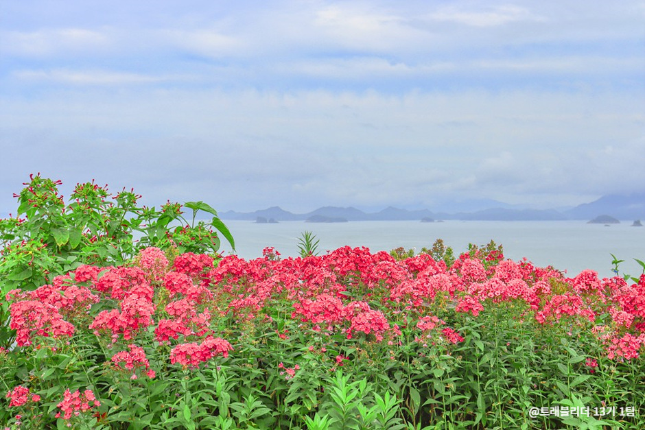애도 힐링파크 쑥섬쑥섬