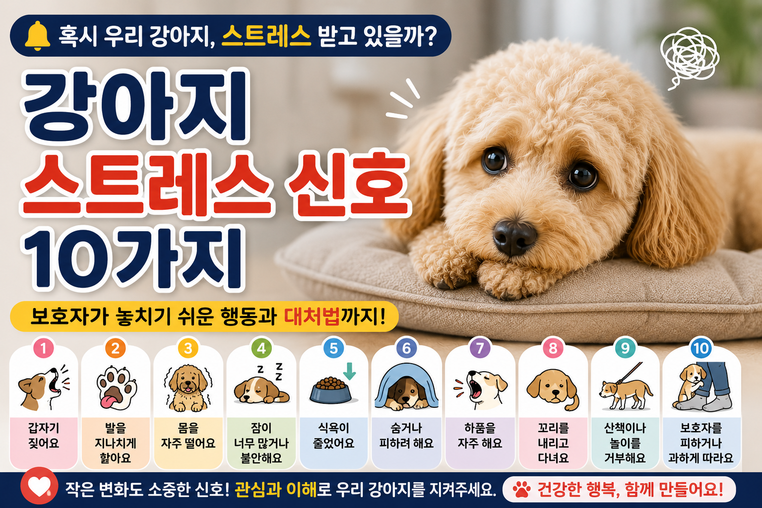 강아지 스트레스 신호 10가지｜보호자가 놓치기 쉬운 행동과 대처법