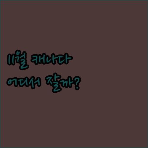 2025년 11월 모르덴, 포티지 라..