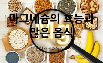 마그네슘 효능 으로_4