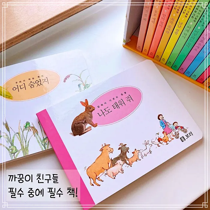 생방송 오늘저녁 자작나무 숲을 품은 북 하우스 소개 방송