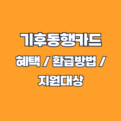 서울시 기후동행카드 청년 환급 방법 완벽 가이드