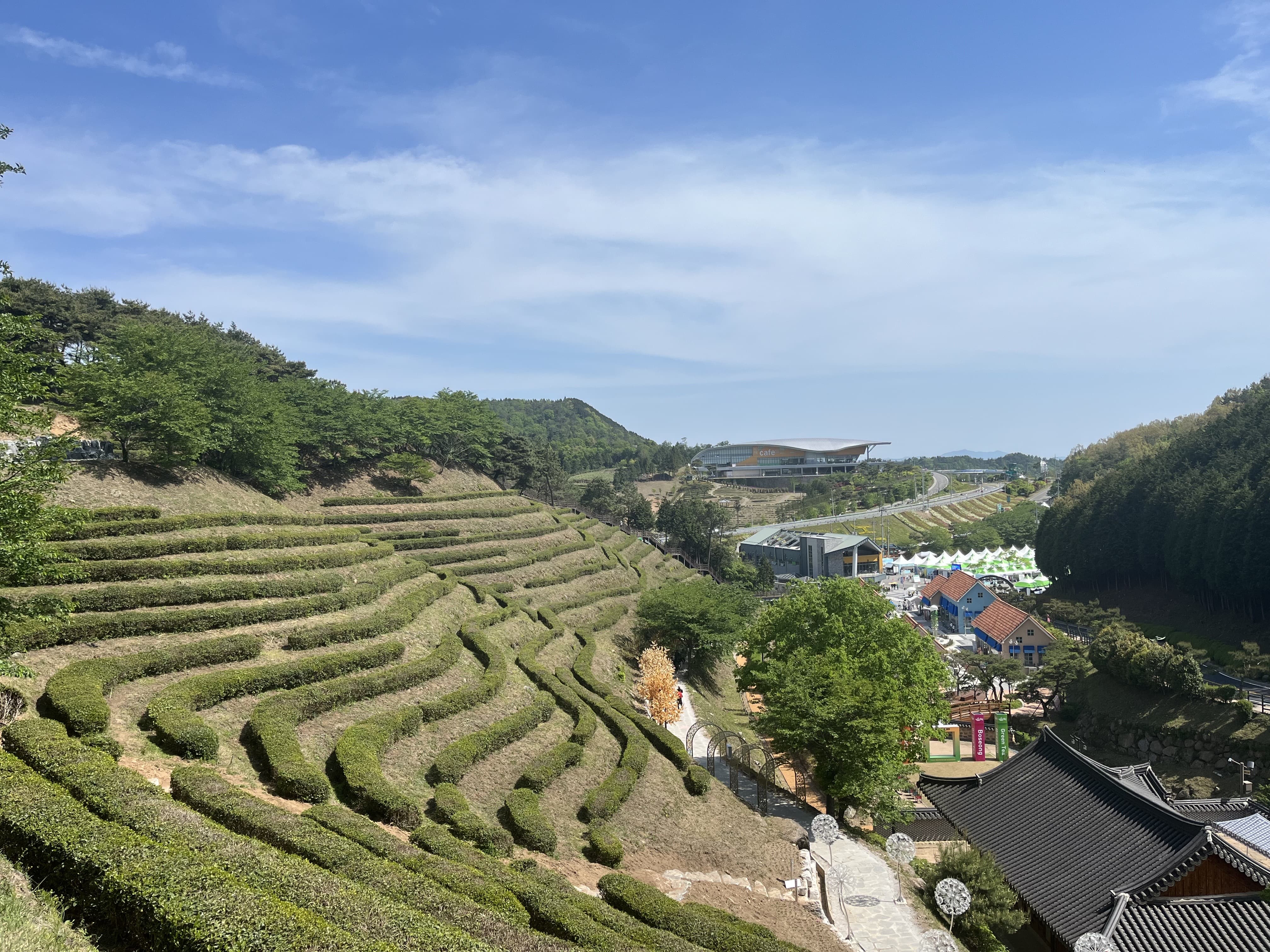 [5월 축제]2025 보성다향대축제❘기간, 일정, 프로그램 예약 방법, 추천코스, 셔틀 정보