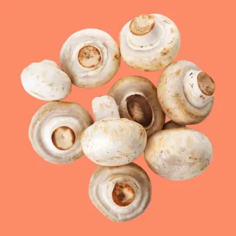 양송이버섯 제철 손질법과 볶음 요리 보관까지 전부 알려드립니다_14