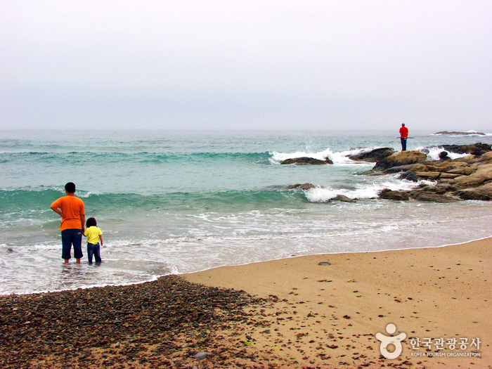 해변에 아이와 어른이 서있다.