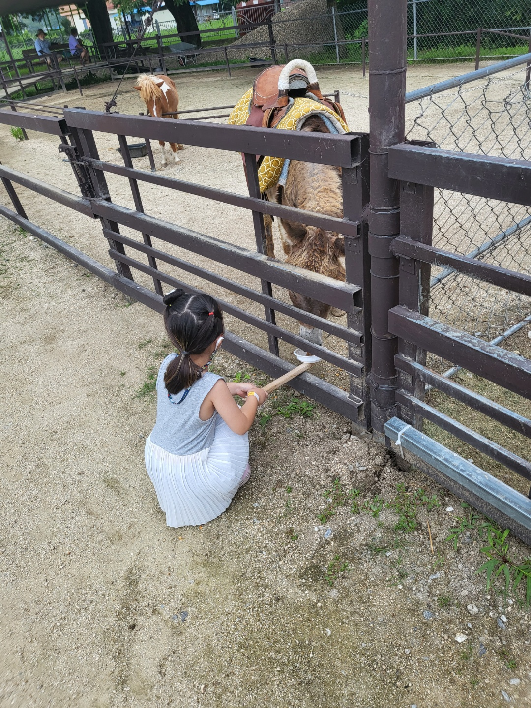 더플레이그라운드
