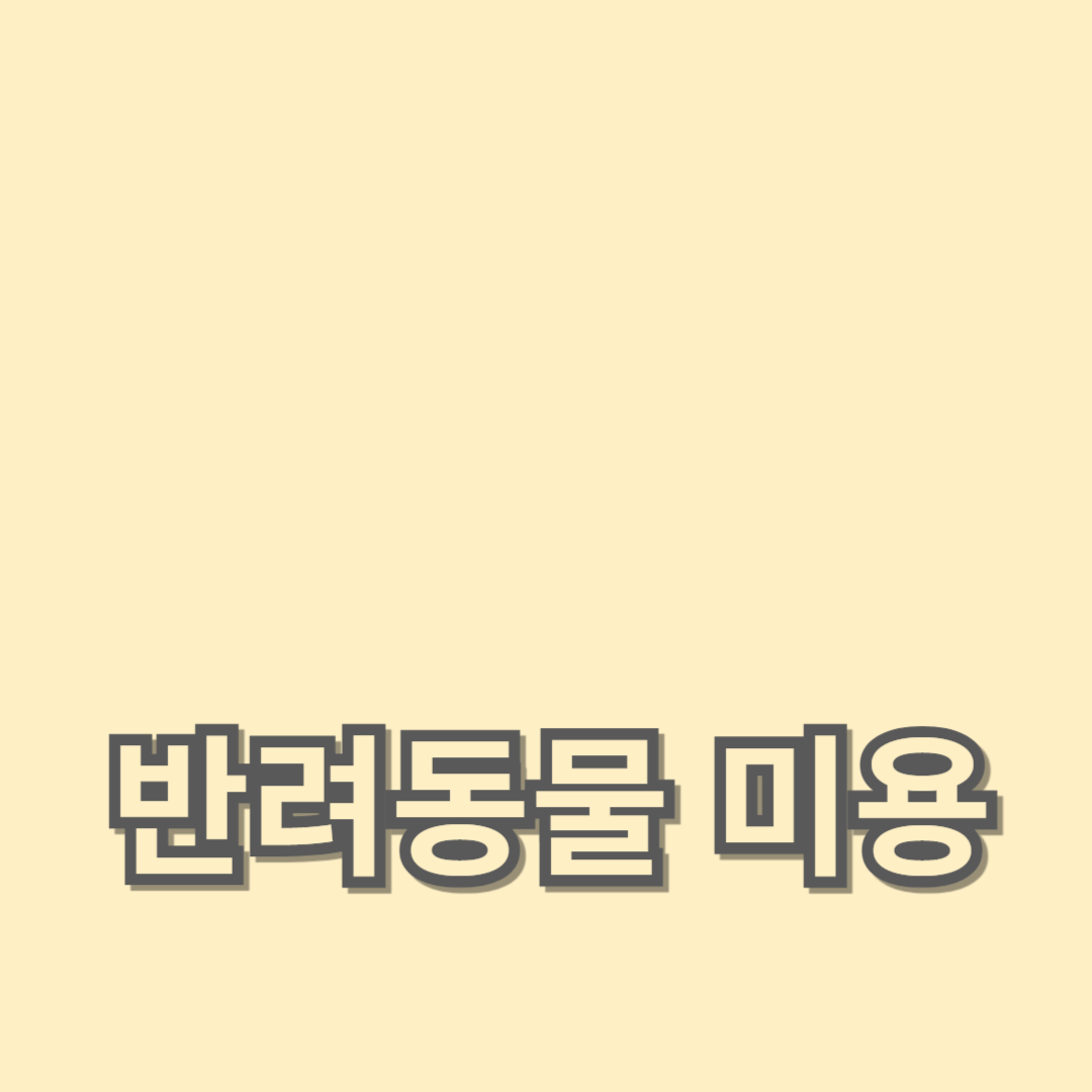 반려동물 미용 예약하기