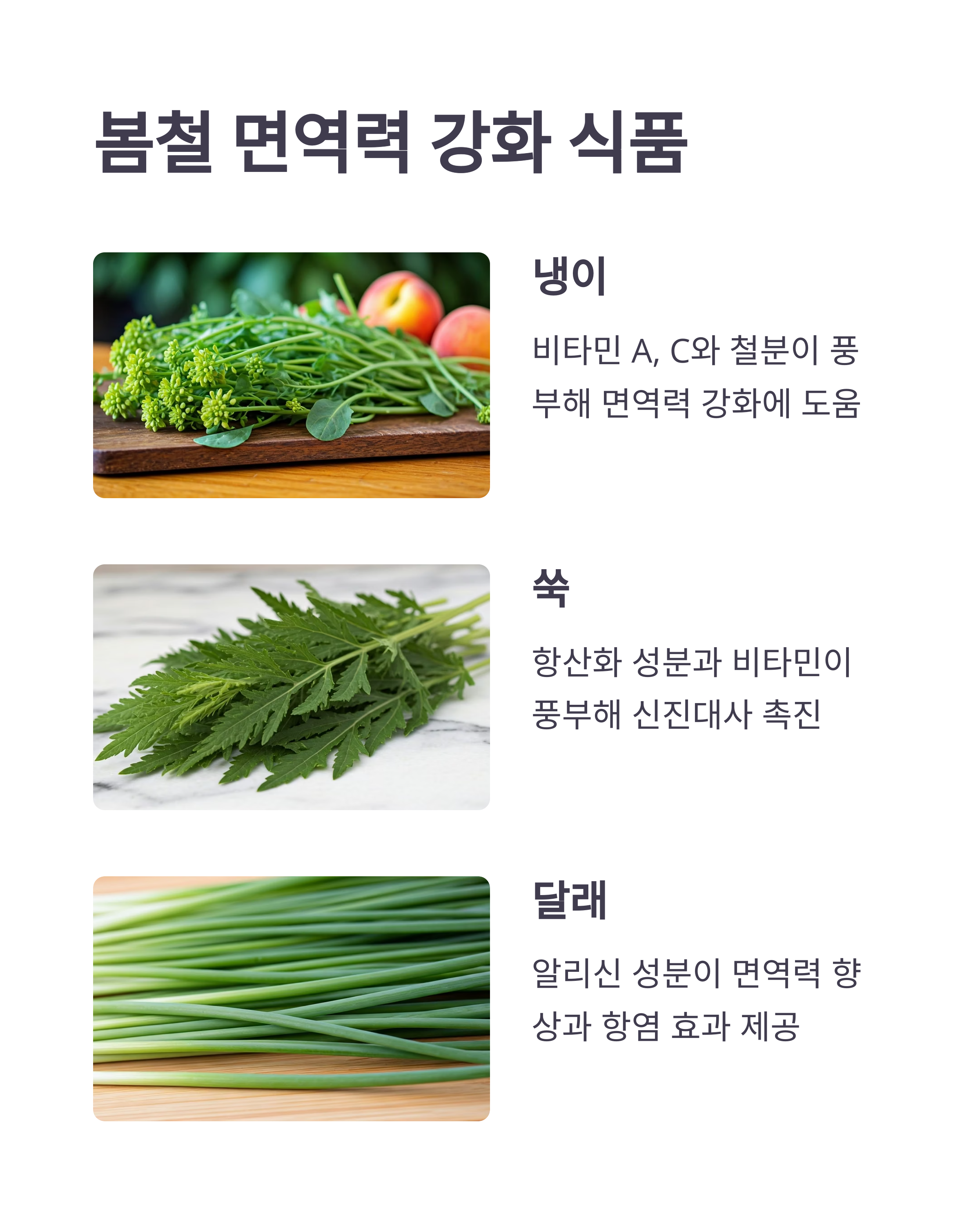 봄철 면역력 강화 식품