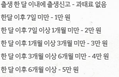 출생신고 기간, 벌금