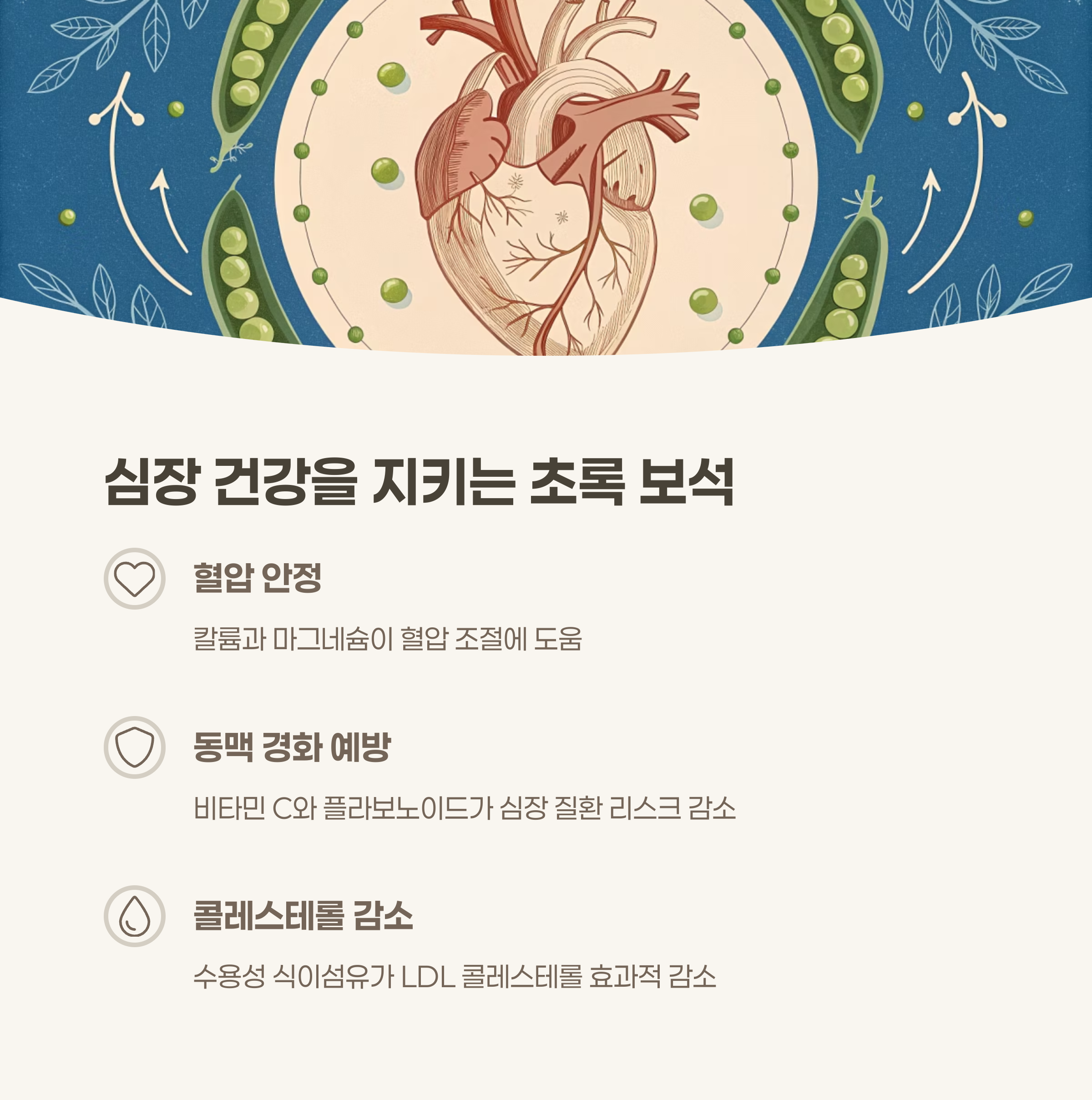 심혈관 건강 개선 효과