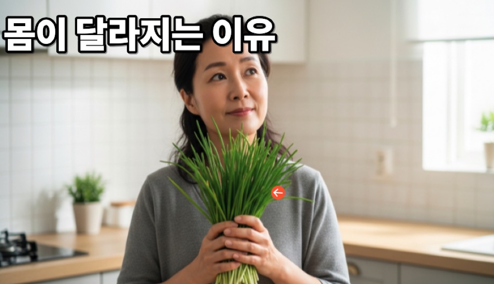 부추 효능