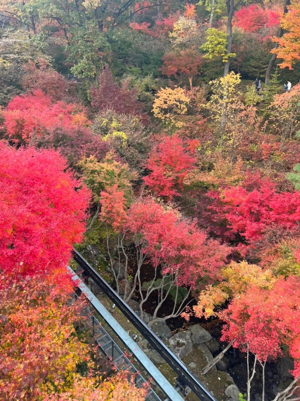화담숲