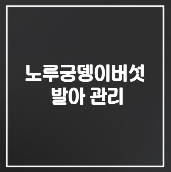 노루궁뎅이버섯 발아