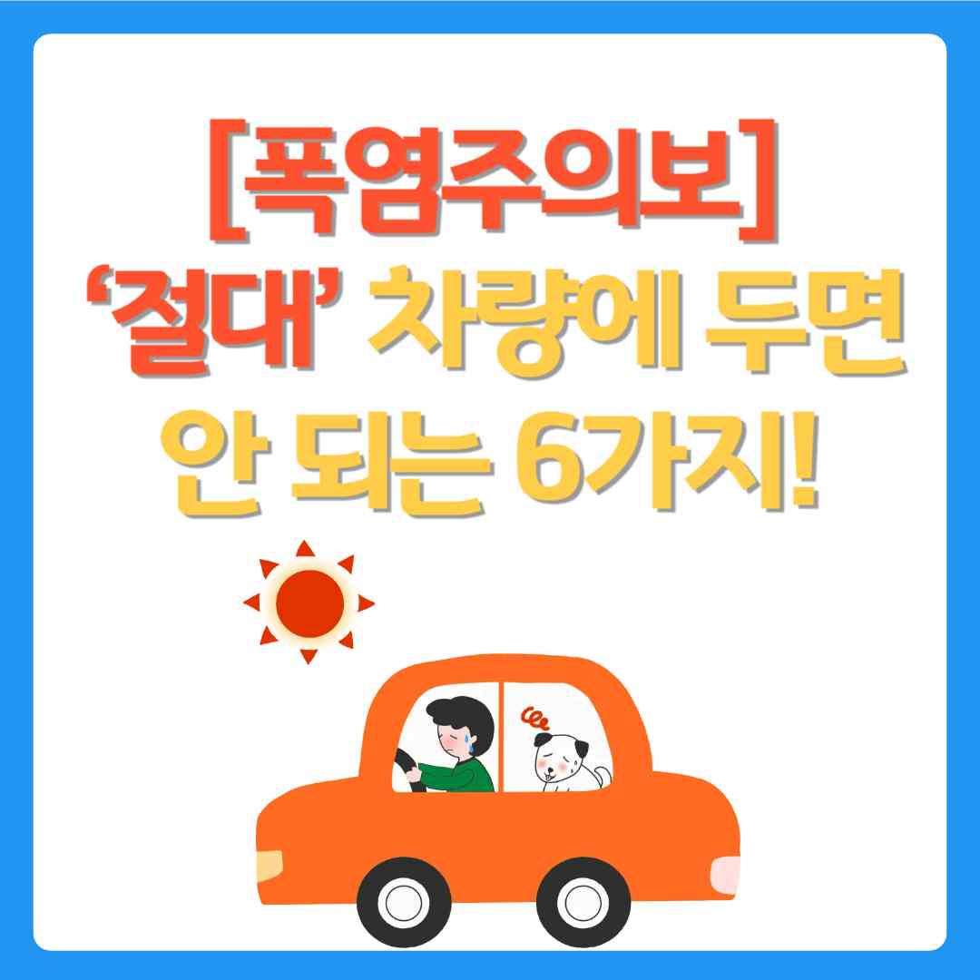 [폭염주의보] &lsquo;절대&rsquo; 차량에 두면 안 되는 6가지!