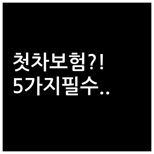 첫차 보험 가입 전 꼭 확인할 체크리..