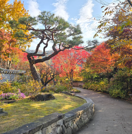 2025 단풍명소 화담숲 홈페이지 제공