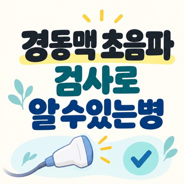 경동맥 초음파 검사로 알수있는병 제목과 초음파 기기 일러스트
