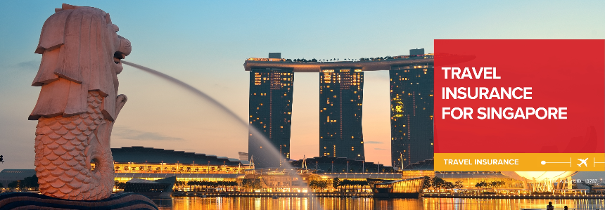 싱가포르 여행 준비 필수 3종 세트! 보험·유심·와이파이 도시락 완전 정복