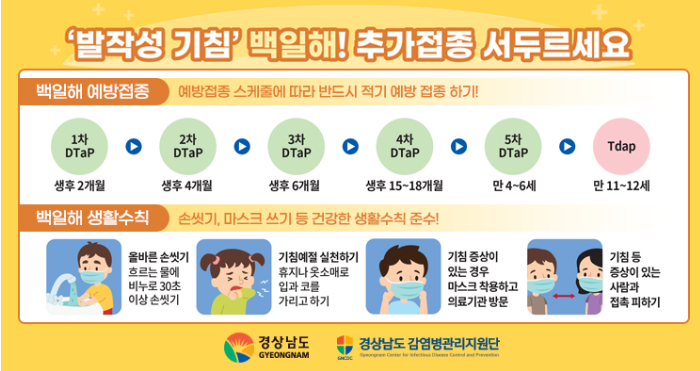 백일해 예방접종 가격 접종내역 확인