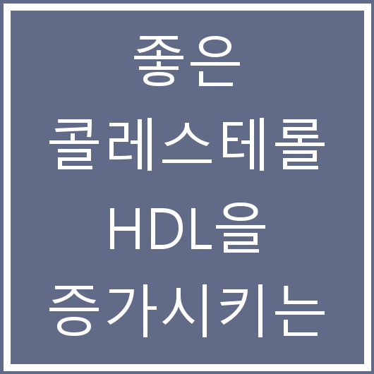 좋은 콜레스테롤 HDL을 증가시키는 생활 습관 네 가지