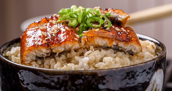 6월 제철 음식 장어 : 보양식의 제왕! 여름의 시작!