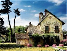 월세 계약서 다운로드