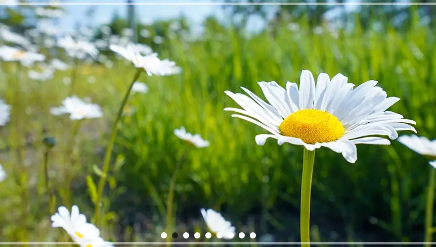 서울-식물원-입장료-운영-시간-할인