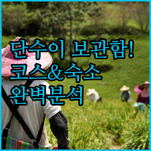 단수이역 물품보관함에 캐리어 맡기고 ..