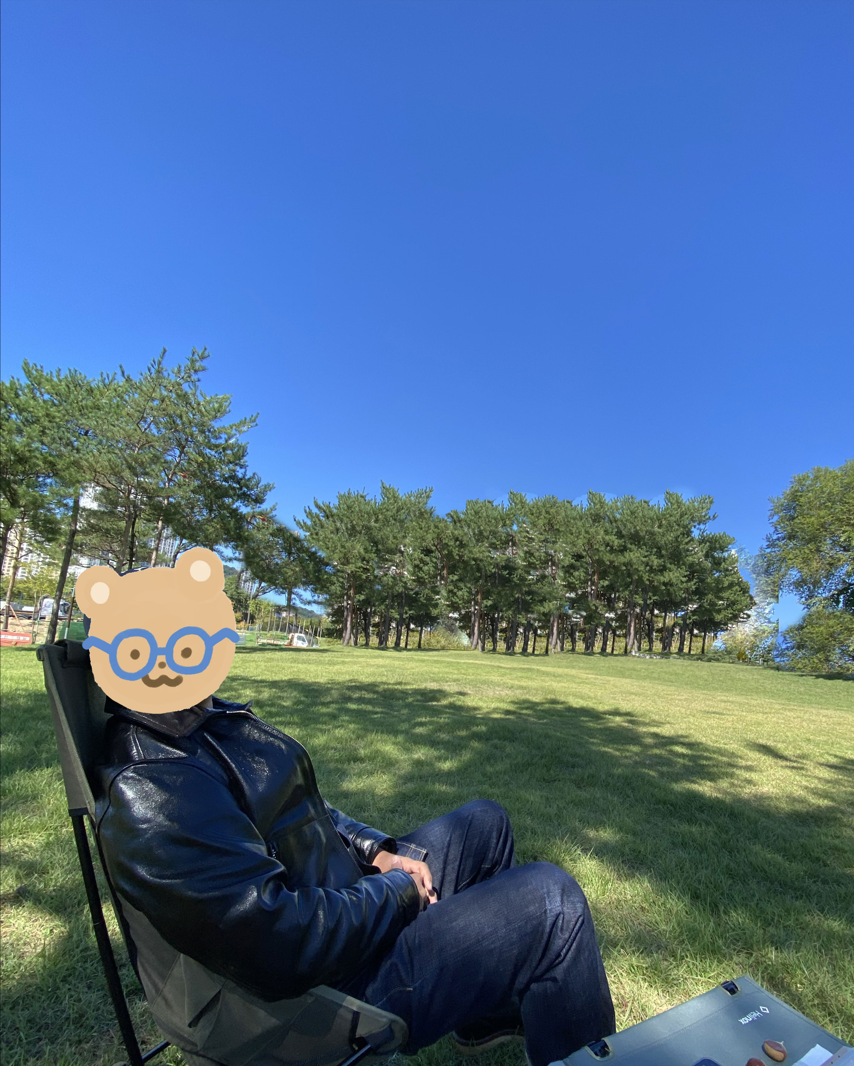 프리휠러스 멀홀랜드 착용 후기