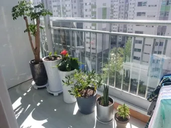 화분 베란다 단열 겨울철보온 커튼사용 찬바람차단 식물보호 요령_4