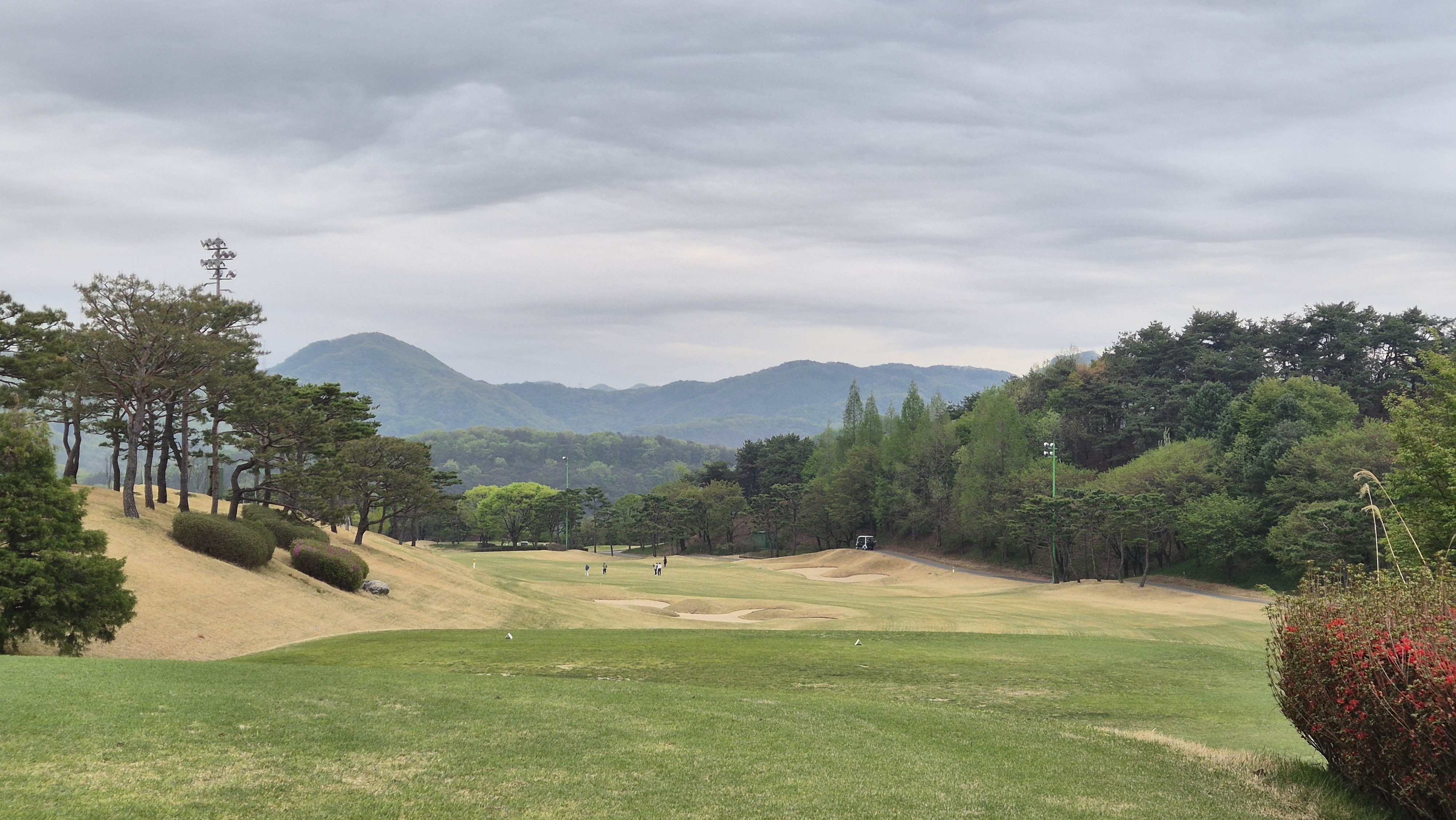 시그너스cc 코튼-라미 코스 사진 및 공략 정보