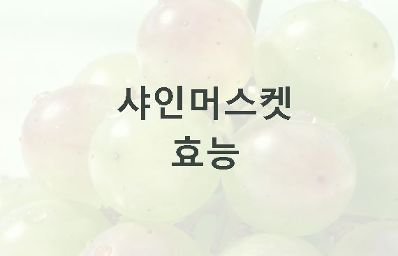 샤인머스켓 효능