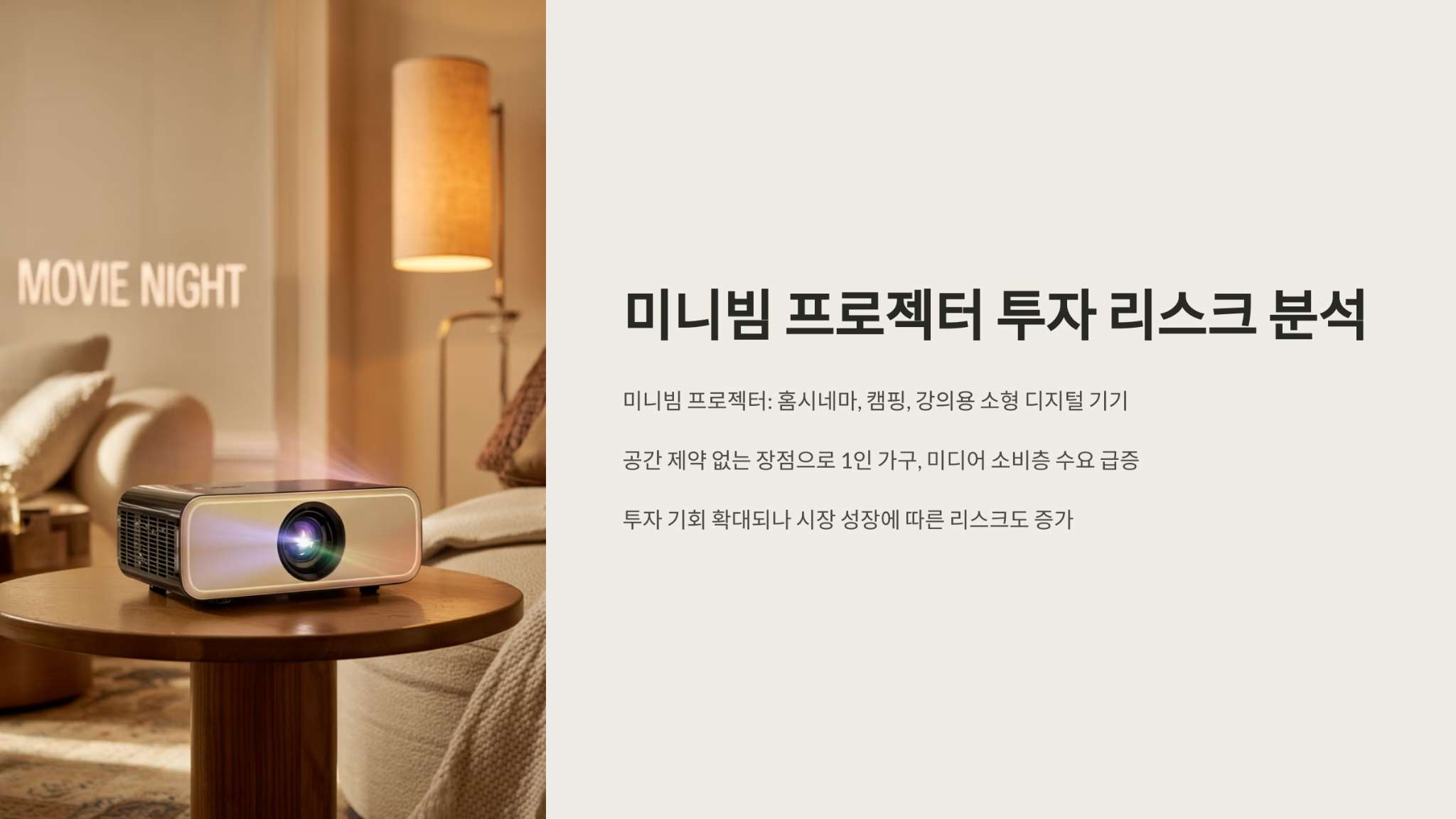 미니빔 프로젝터 투자리스크 분석